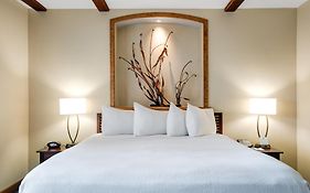 Luxury Collection Hotel